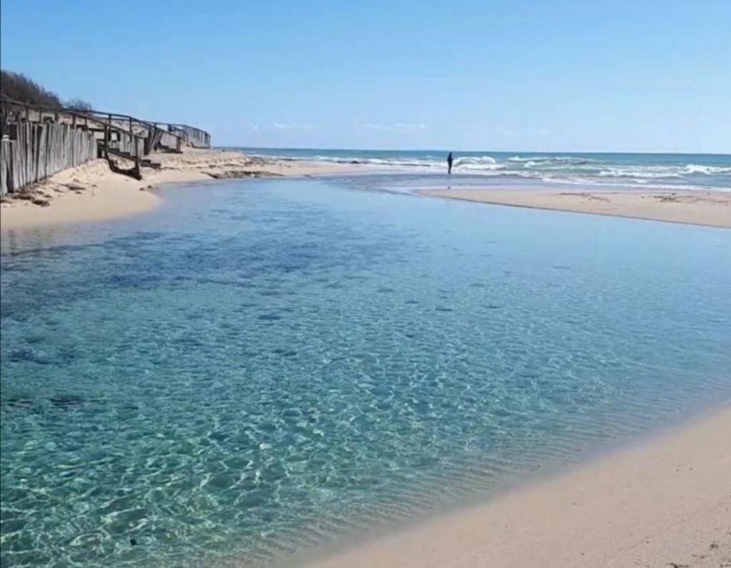 Palazzo Primitivo Casa Vacanze Appartamento Manduria Bagian luar foto